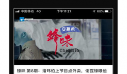 蓝莓视频官网,解锁精彩内容，畅享视觉盛宴